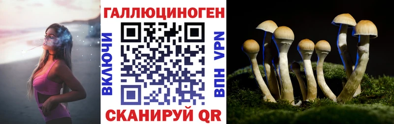 Купить  Сердобск  Псилоцибиновые грибы мицелий 